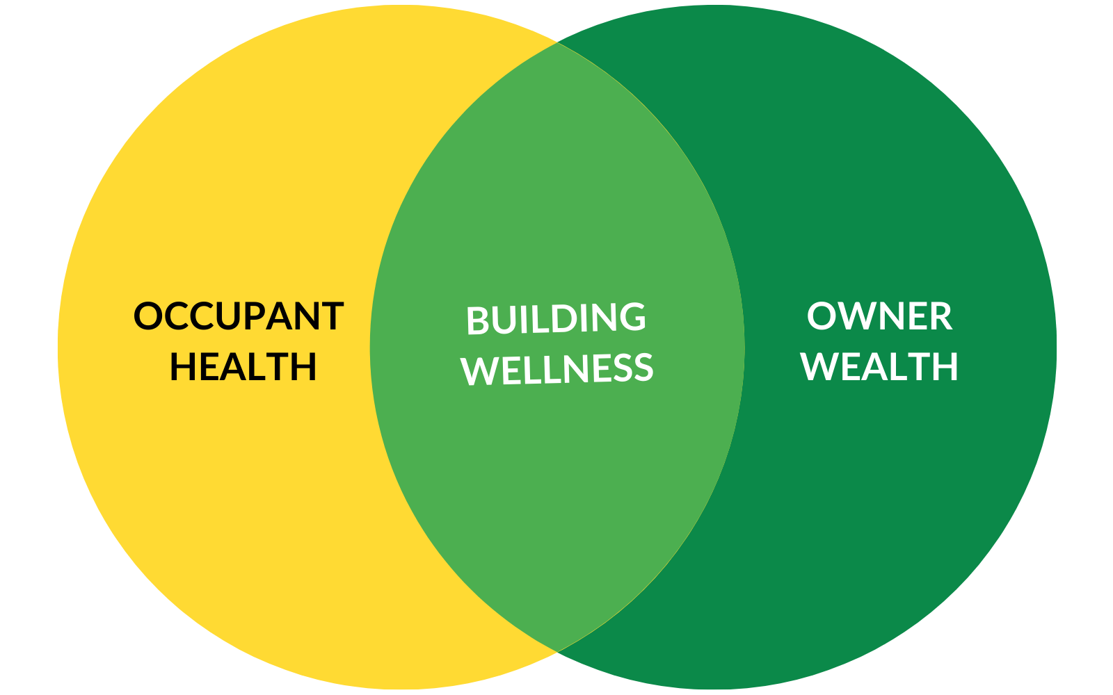Building Wellness Programs